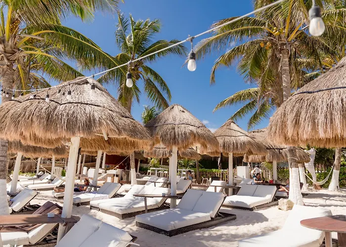 Estrellas - Located At The Party Zone Hotel Tulum