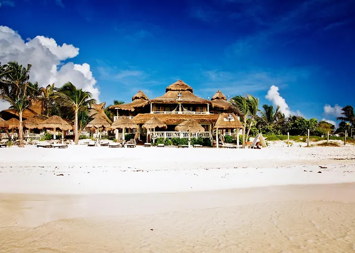 Estrellas - Located At The Party Zone Hotel