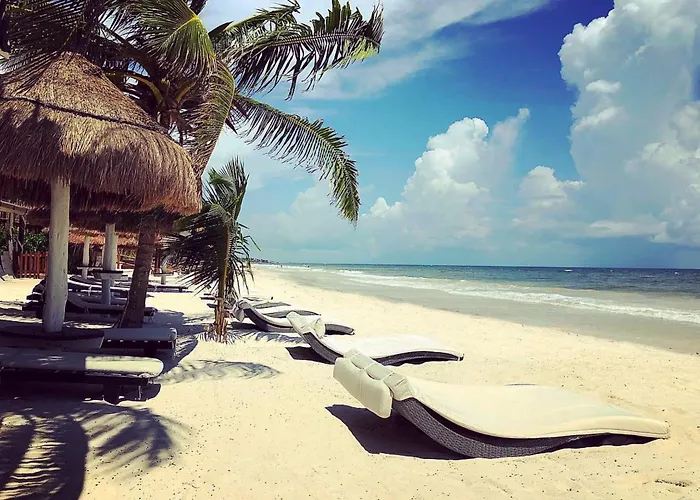 Estrellas - Located At The Party Zone Tulum