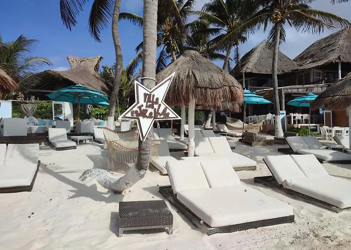 Estrellas - Located At The Party Zone Tulum Pueblo