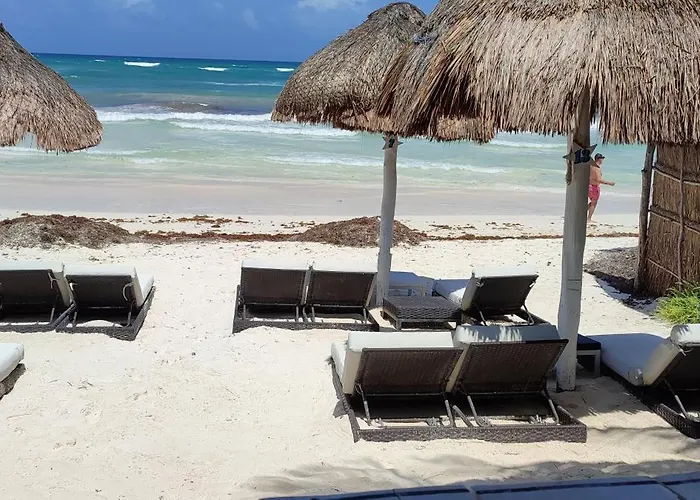 Estrellas - Located At The Party Zone Hotel Tulum