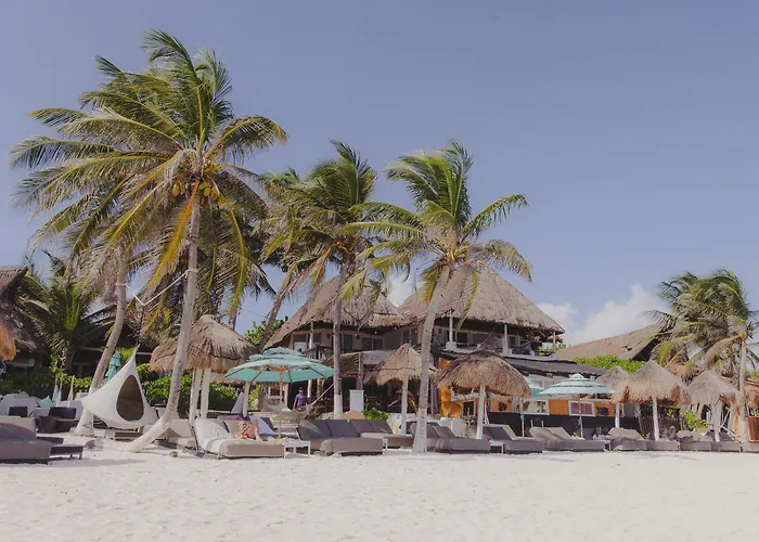 Estrellas - Located At The Party Zone 4*